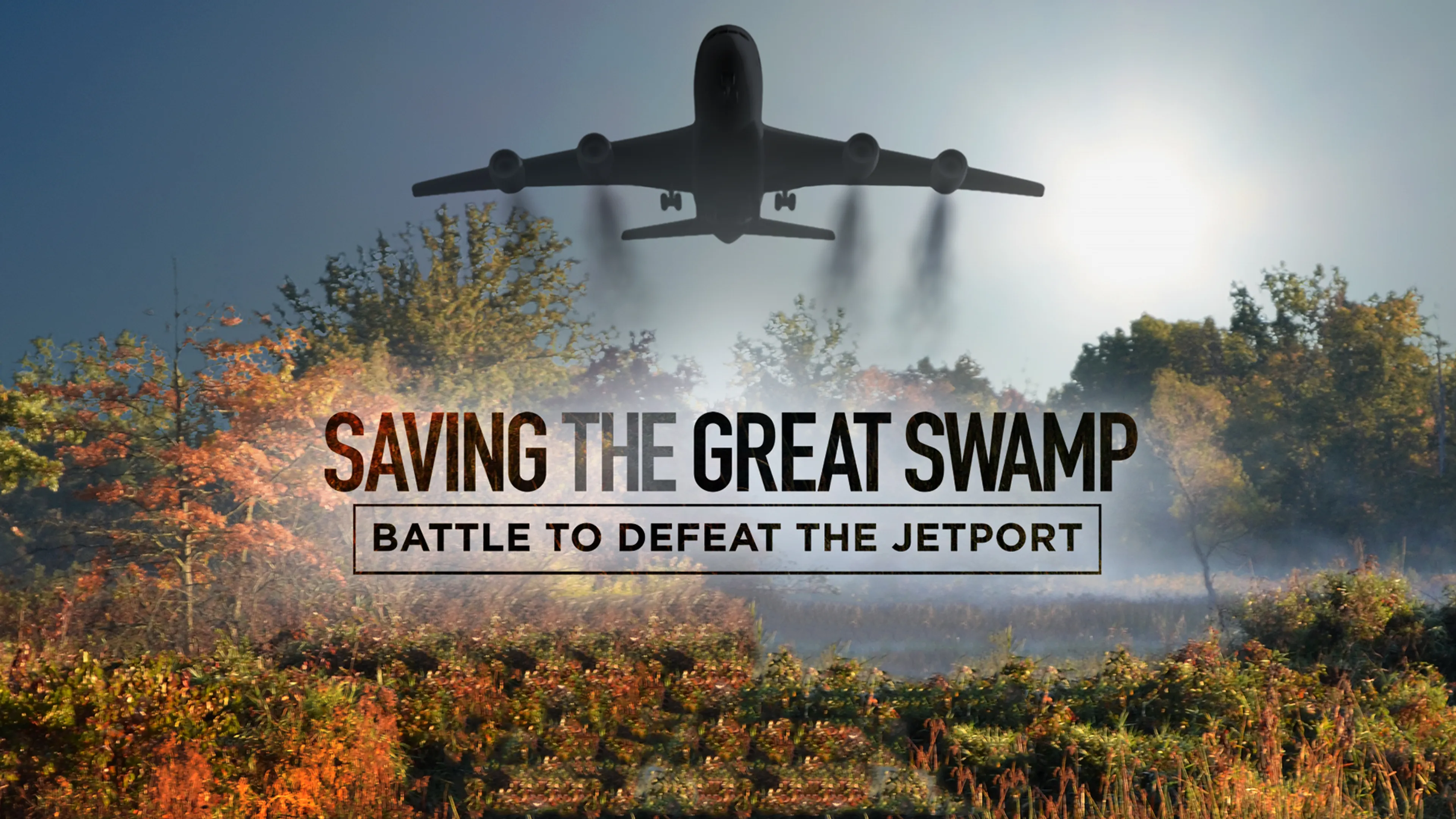 Saving The Great Swamp: Battle to Defeat the Jetport poster